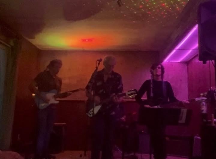 Abbey Cats performing live