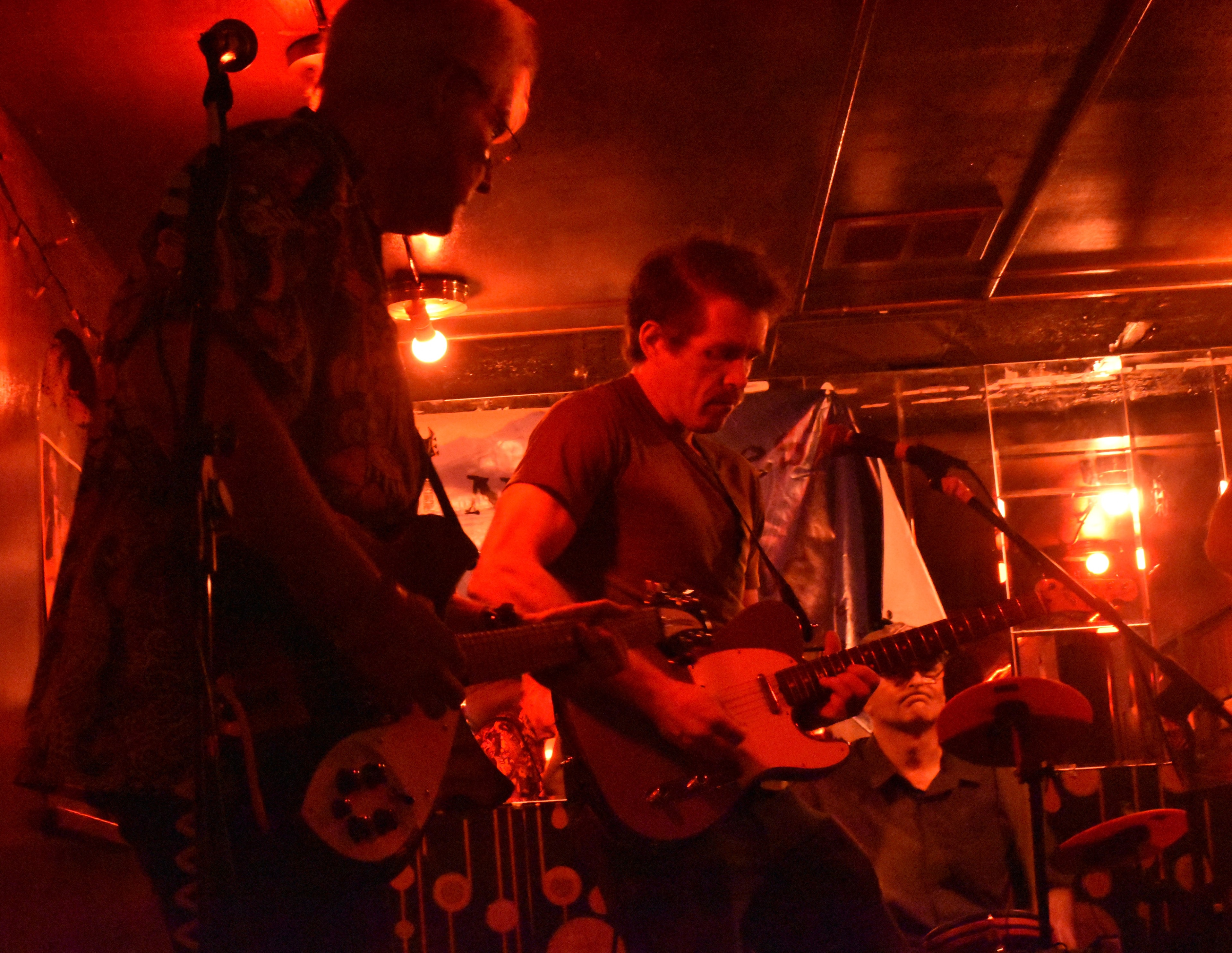 Abbey Cats guitarist performing live